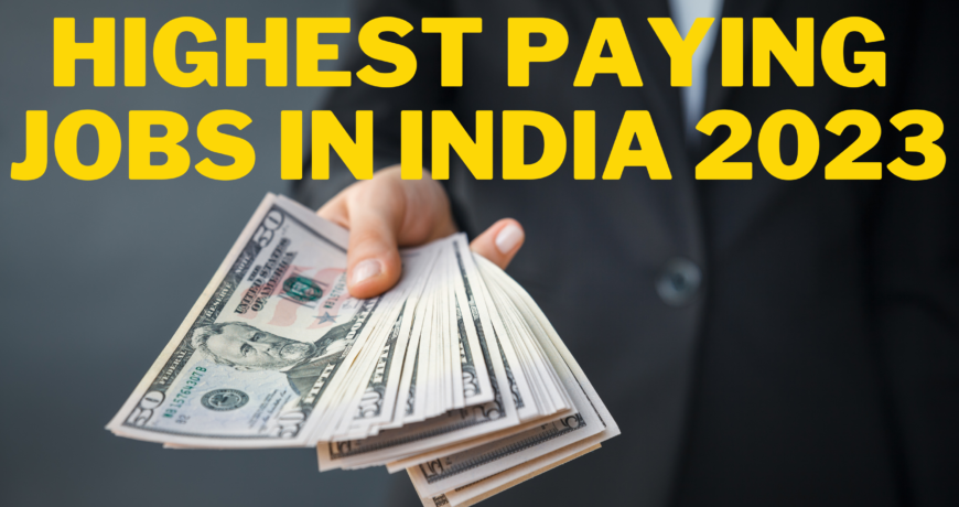 Highest Paying Jobs in India 2023